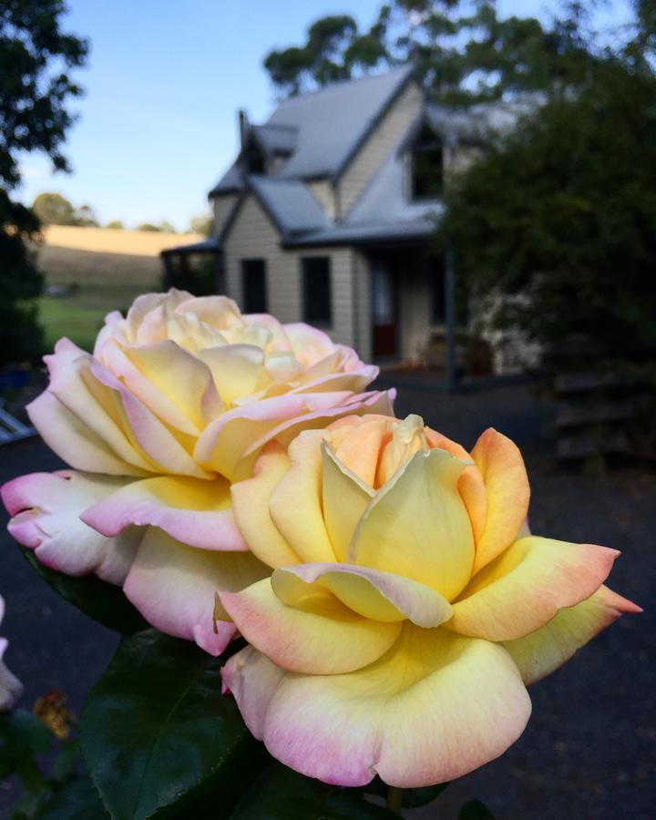 Brigadoon Cottages Haunted Hills Экстерьер фото