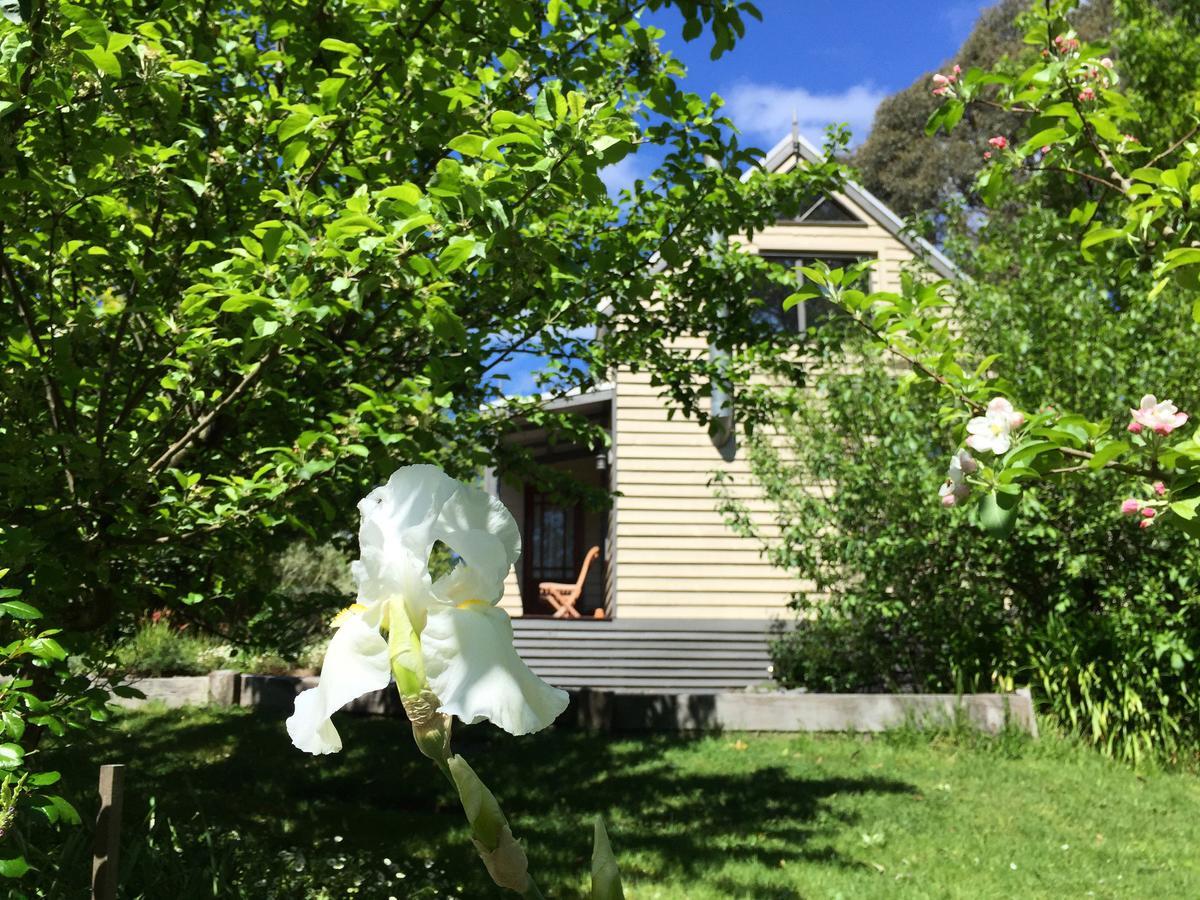Brigadoon Cottages Haunted Hills Экстерьер фото